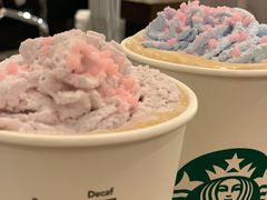 -星巴克(深圳湾体育中心店)