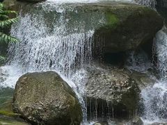 -龙窝子