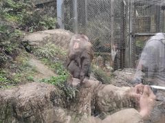 -黔灵山公园