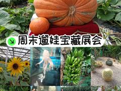 -长春农业博览园