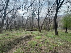 -香炉山国家森林公园