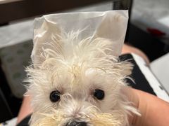 -宠瑞康动物医院