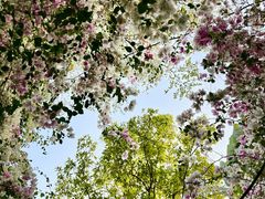 -深圳国际园林花卉博览园