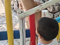 -西部长青自然儿童乐园