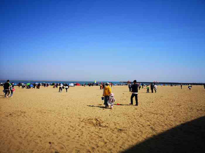 天津东疆湾沙滩景区-"地方不错.人少,门票价位适中,就是海水有.