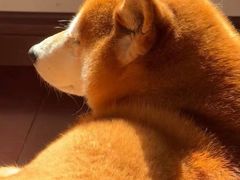 -家琳甜品(江南东店)