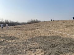 -东郊湿地公园