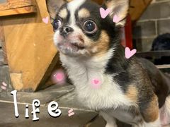 -张记牛肉面馆(天津路店)