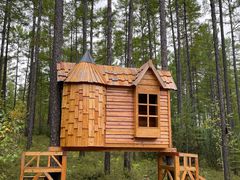 -莫尔道嘎国家森林公园