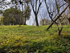-南山植物园