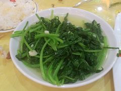 -乡土特色.冷锅鱼.牦牛肉汤锅