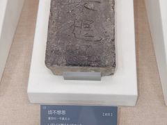 -亳州博物馆
