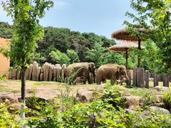 -沈阳森林动物园