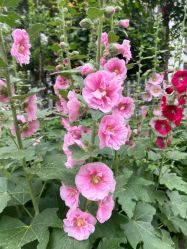 -壹加壹医疗美容·轻医美·美容外科