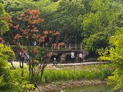 -黄公望隐居地