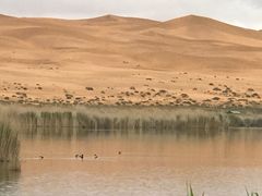 -沙漠世界地质公园