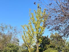 -白马涧龙池景区