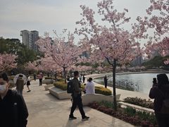 -新江湾城公园