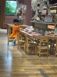 -宝燕乐园(闵行旗舰店)