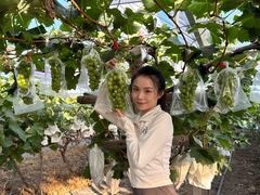 -马陆小张葡萄园农家乐