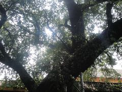 -桂林独秀峰王城景区
