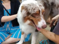 -TrueLove @ Neverland (Husky Cafe)