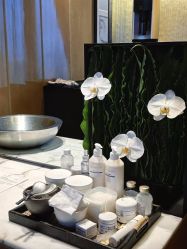 -广州四季酒店·花水疗中心·高空Spa