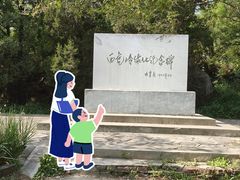 -白水寺森林公园