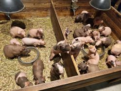 -酷嗒动物文化乐园(cutezoo西溪乐天城店)