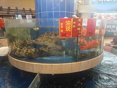-龙的酒楼·手工早茶·顺德菜(近良路店)