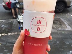 -树夏(建设路店)