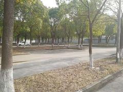 -安飞驰驾校·学车连锁(金高店)