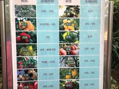 -呀路古热带植物园