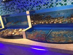 水产区-乔哥铭洋海鲜自助(皇城恒隆广场店)