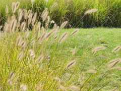 -汉长安城未央宫国家考古遗址公园