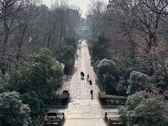 -灵谷景区