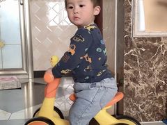 -稚马儿童平衡车自行车俱乐部