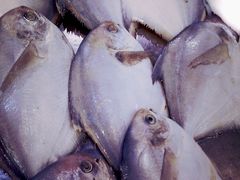 -北塘海鲜·天津菜(大光明桥旗舰店)