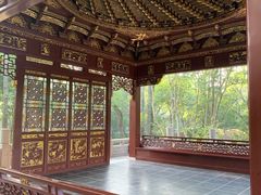 -汇龙潭