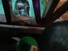 -锦艺城海洋馆