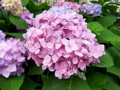 -新天地活力PARK