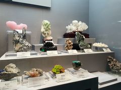 -湖南省地质博物馆