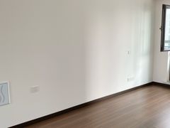 -大树装饰·十年本土家装