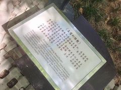 -西安曲江寒窑遗址公园