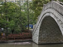 -高东镇樱花园
