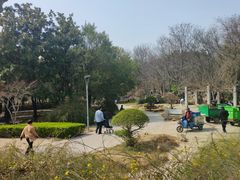 -郑州植物园
