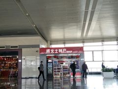 -石家庄正定国际机场-T2航站楼