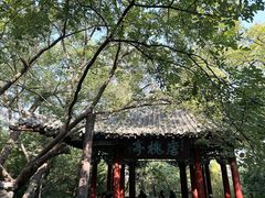 -千佛山风景名胜区