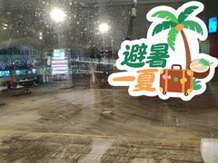-张家界荷花国际机场