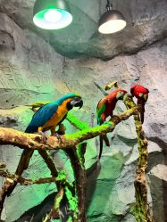 -Zoolung Zoolung动物主题公园(海信广场店)